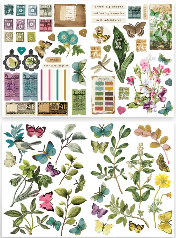 Arden Creative Studio – Garden Chronicles Laser Cuts – Katie Pertiet