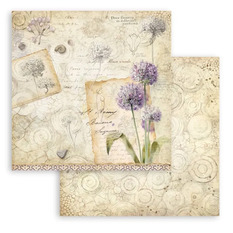 Stamperia – All Around 8x8 Inch Paper Pack