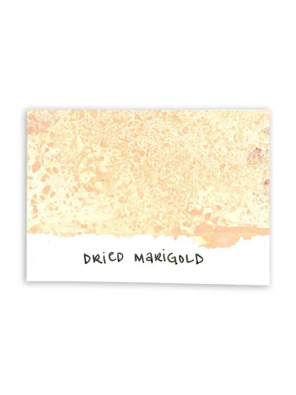 Tim Holtz Distress Spray Stain – Dried Marigold (TSS42235)