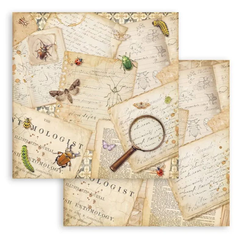 Stamperia All Around 12x12 Inch Paper Pack