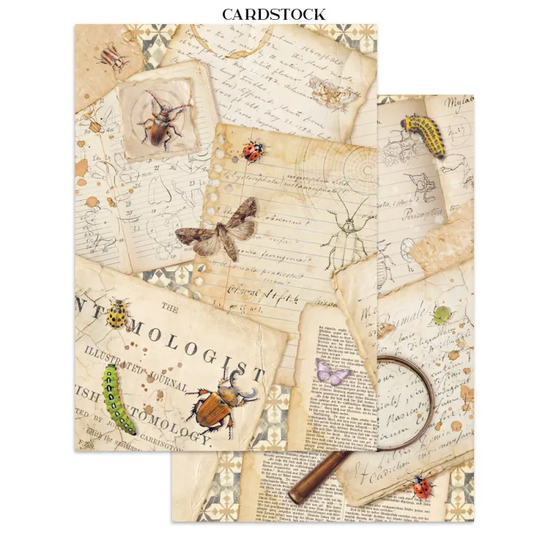 Stamperia – All Around Junk Journal Stickers, Backgrounds & Cut-Outs